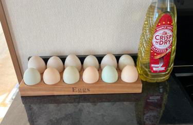 Maneight Fir View with hot tub - Foto 13