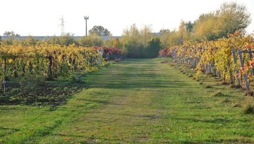 Alloggio Cantalupo - Foto 2