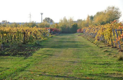 Alloggio Cantalupo - Foto 2