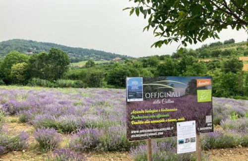 Dolce vita sur la colline de Turin - Foto 31