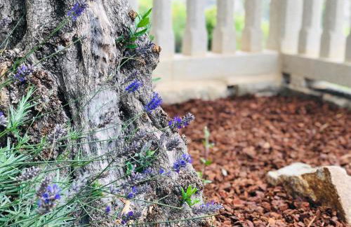 Casa da Lomba Piscina y vistas al mar en Baiona - Foto 56