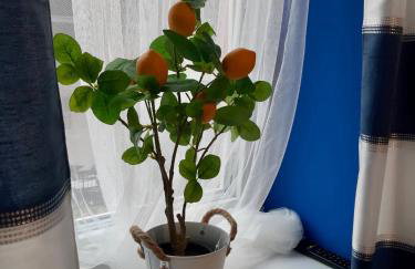 Capitals Residence - Photo 12