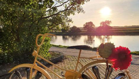 Gästewohnung Elbblick - Reinkommen, Wohlfühlen und den Ausblick genießen - Foto 5