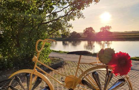 Gästewohnung Elbblick - Reinkommen, Wohlfühlen und den Ausblick genießen - Foto 5