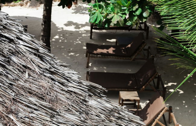 Kipepeo Lodge - Photo 22