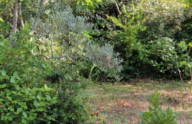 Maison T4, campagne Provençale calme, tout confort - Foto 25