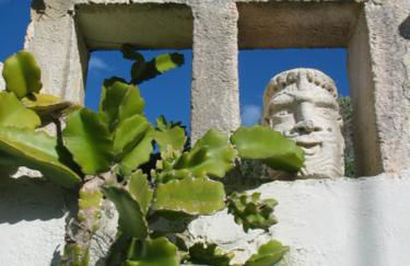 Il GIARDINO della FALENA - Foto 9