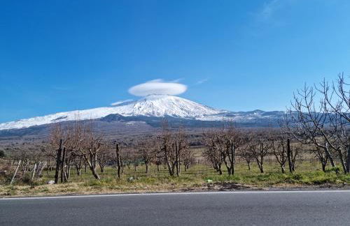 Appartamento Turistico - Rosina Etna Taormina - Foto 3