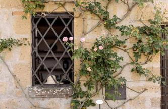 T65 home holidays in Umbria - Orvieto - Foto 15