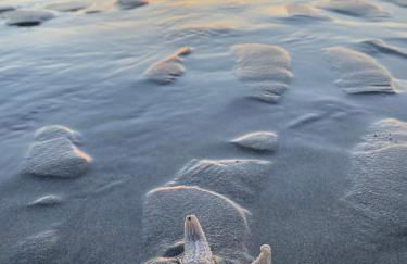 La Maison des Vacances, à deux pas de la mer. - Foto 43