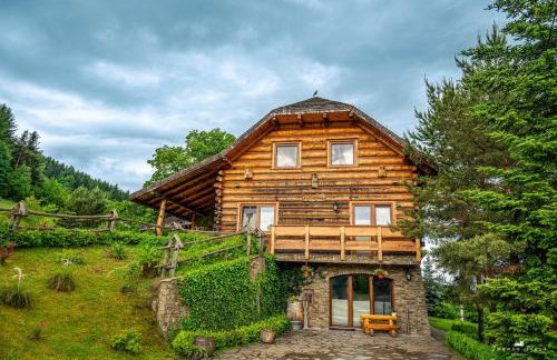 Lipowe Wzgórze Limanowa - Foto 8