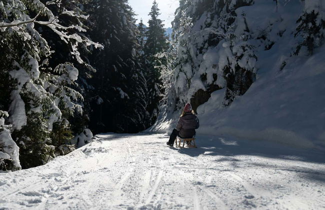 Paseo en trineo por los Alpes berneses - Foto 6