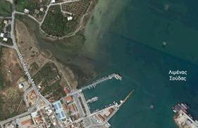 Homieland Souda - Photo 18