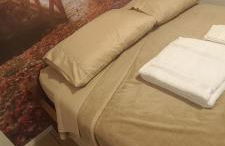 Casa Container em Monte Verde - 800m do Centro - Foto 5