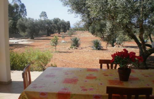 Tenuta Cazzato - Foto 7