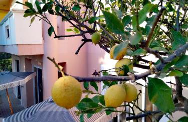 RosaMaria's Garden - Foto 36