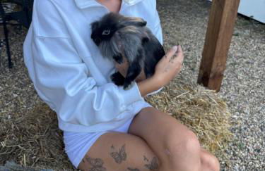 Goldings detached Barn farm stay - Foto 22