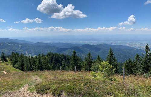 Ferienwohnung Sonnenterrasse - Foto 12