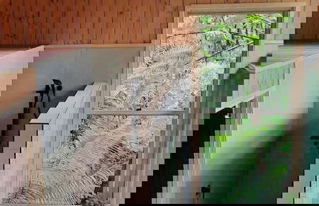 Treetops Accommodation Montville - Photo 44