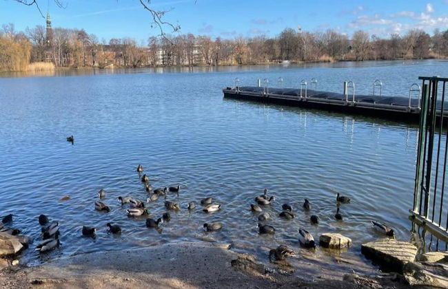 Flat in Zwickau Near August Horch Museum - Foto 32