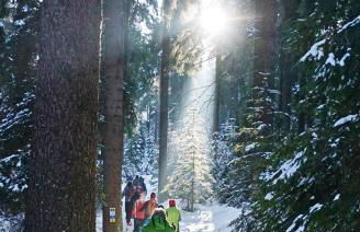 Ferienwohnungen Familie Fuss - Foto 34