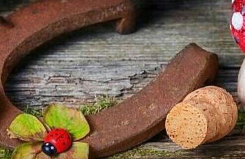 Casa rural Huerta San Miguel 2010 - Foto 21