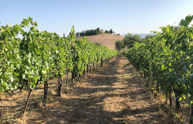 Poggio alla Pietra 26 - Foto 63