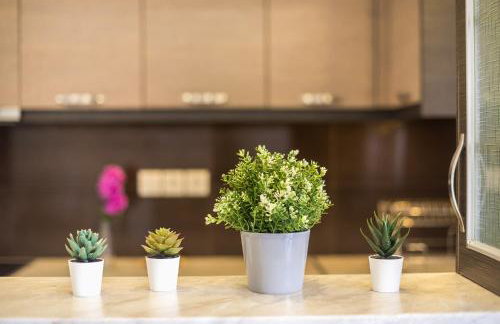 Rigas apartment in Ilioupoli Athens - Foto 70