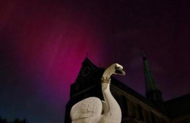 Jan`s FeWo - Foto 28