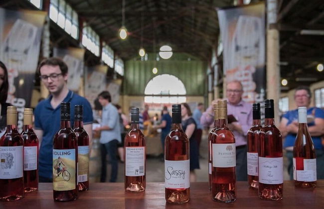 The Sampson - Orange - Foto 21