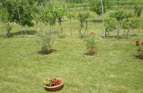 Holiday house with a swimming pool Cepic, Central Istria - Sredisnja Istra - 7404 - Foto 10