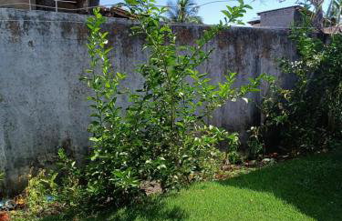 Casa de praia em Barra do Gil - Foto 34