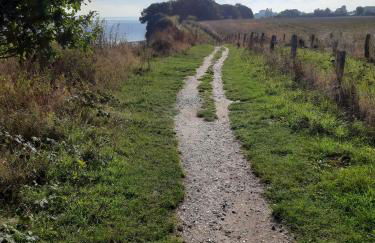 Rosmarinchen - Foto 18