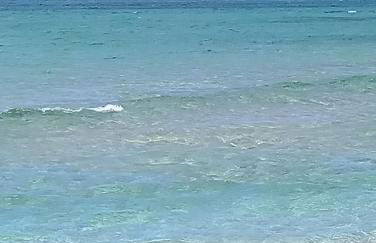 Appartamento La Collinetta - Foto 24