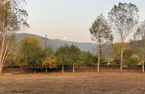 Quinta do Areal - Foto 37