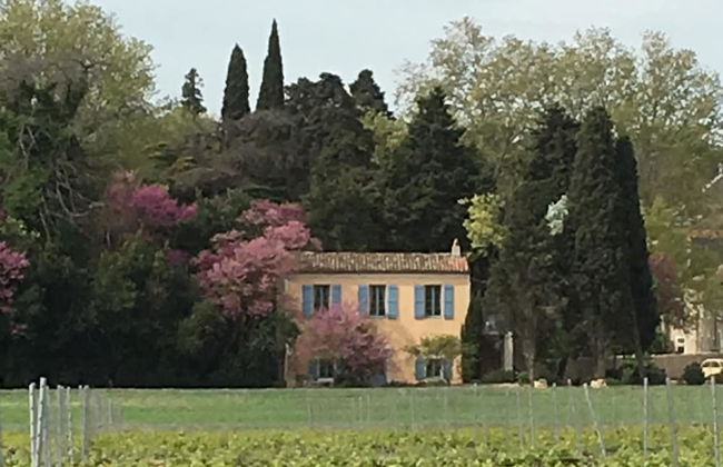 Gîtes Pech-céleyran - Photo 47