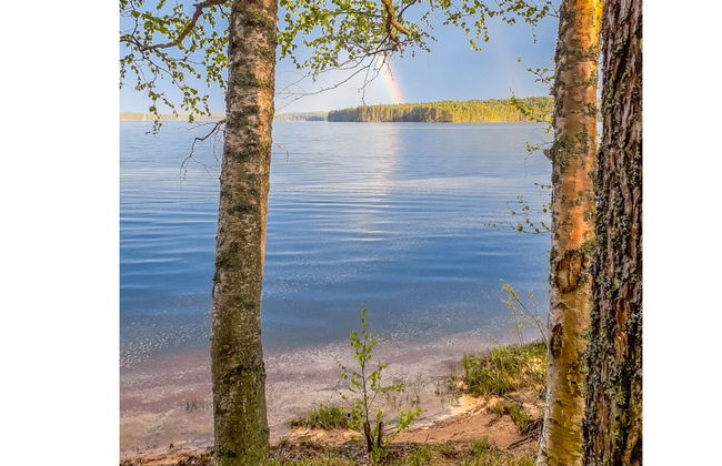 Kesäniitty - Foto 20