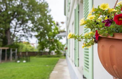 La casa nel Monferrato "LA CONTENTËSSA" - Photo 10