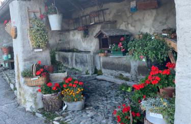 Casa Iolanda - Foto 29