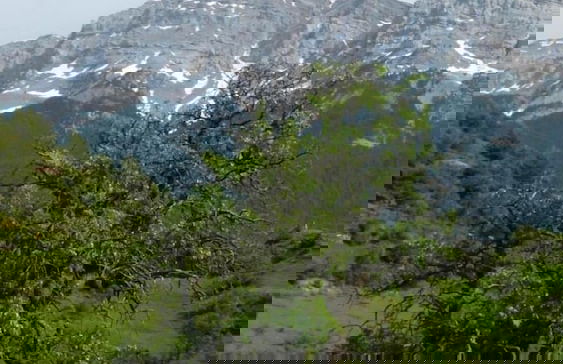 Cal Baridà - Foto 49