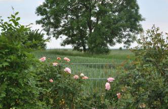 Rureifel FEWO - Foto 13