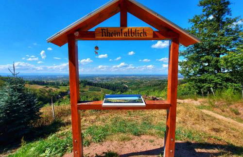 FeWo Zeller Waldblick - Foto 14