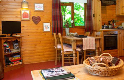 Fiddlers Green Log Cabin Tenby - Foto 11