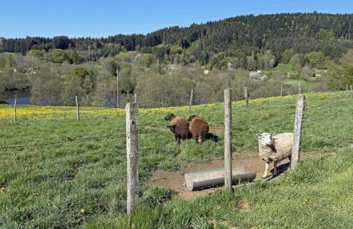 Gîte charmant pour 10, nature et confort avec animaux admis - FR-1-496-60 - Foto 34