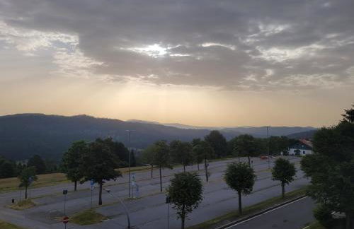 Mitterdorf - apartmán Almberg - Foto 15