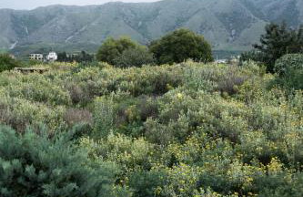 Villa Bella Casa - Foto 52