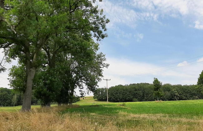 Apartment With Views of the Ore Mountains - Foto 34