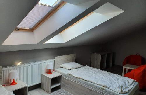 Stajnia Kruki - Foto 15