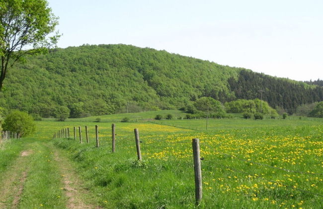 Holiday Apartment Anita Wald - Foto 19