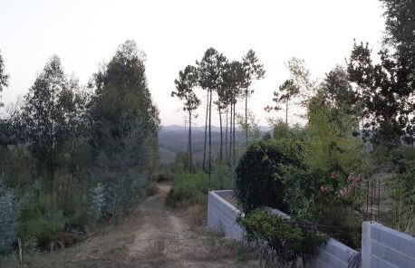 Casa da Abelha- Beehouse - Foto 14